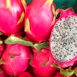 pitahaya